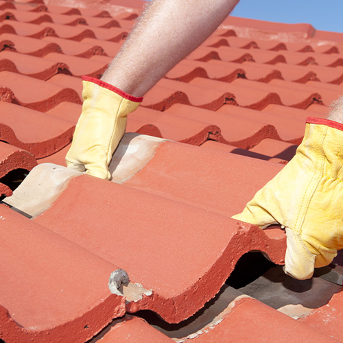 Shingles Roofing